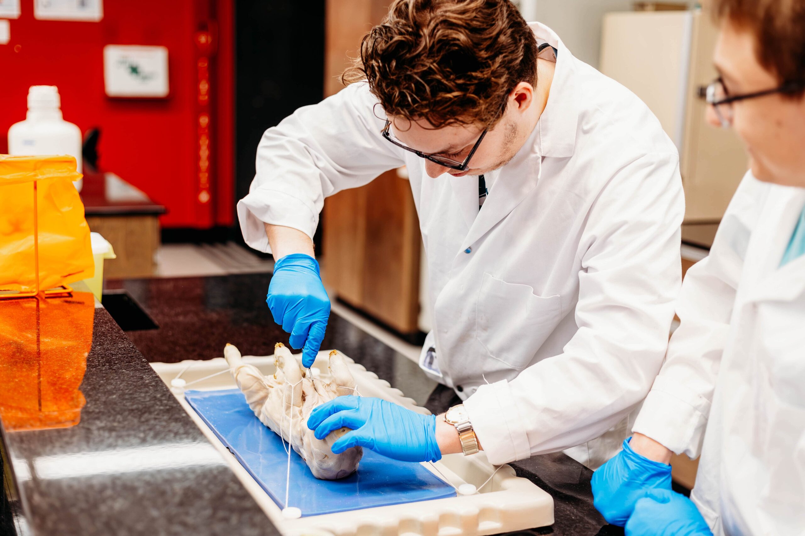Un étudiant effectuant une manoeuvre de dissection