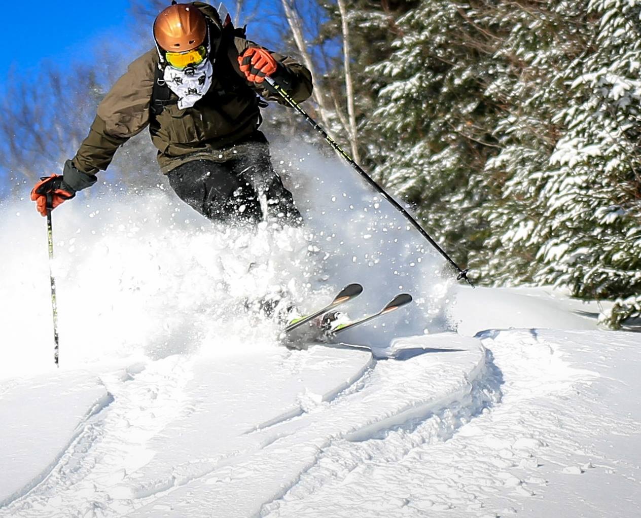 Skieur dans la poudreuse.
