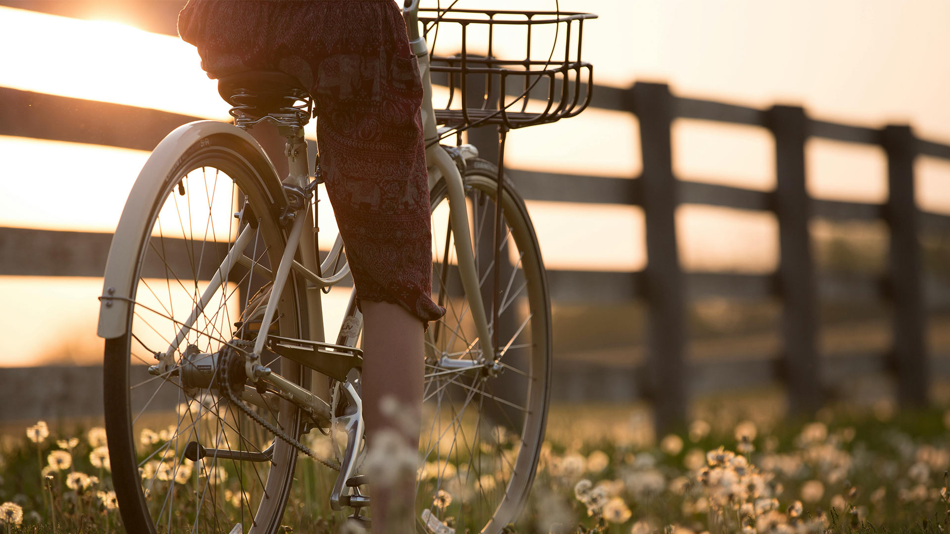Photo d'ambiance d'une jeune femme à vélo longeant une clôture dans un champs au coucher de soleil. Photo professionnelle et couleurs chaudes.